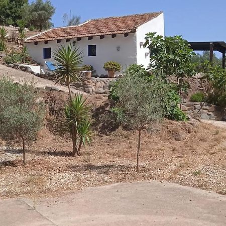 Morales Cottage Almogia ภายนอก รูปภาพ