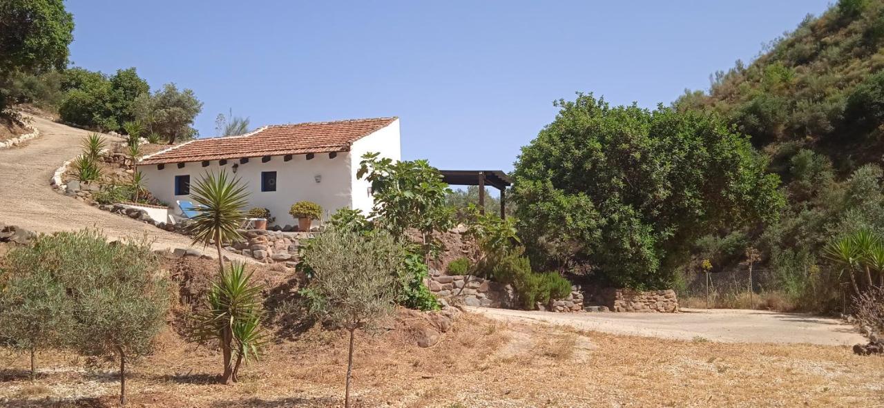 Morales Cottage Almogia ภายนอก รูปภาพ